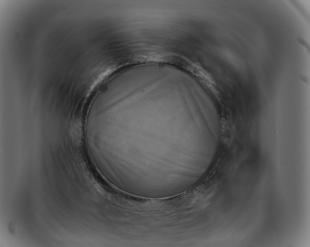 X0000091850012200709121319