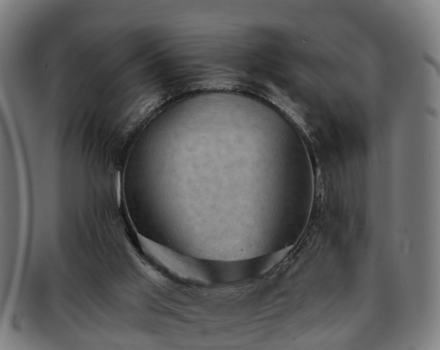 X0000091850013200709121319