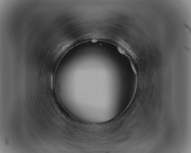 X0000091850014200709121319