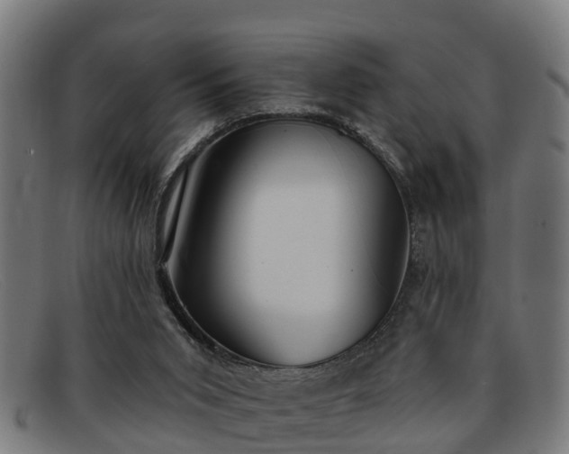 X0000091850015200709121319