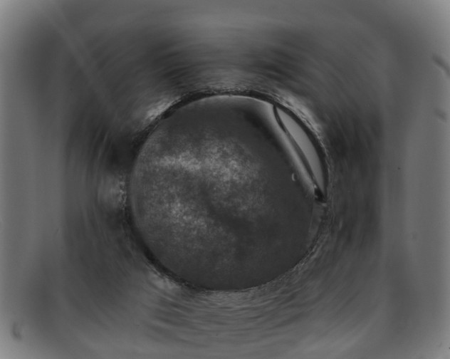 X0000091850017200709121319