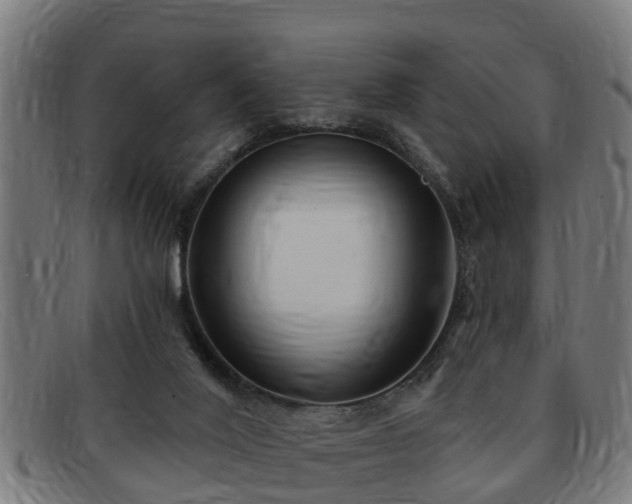 X0000091850020200709121319