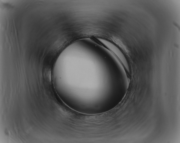 X0000091850021200709121319