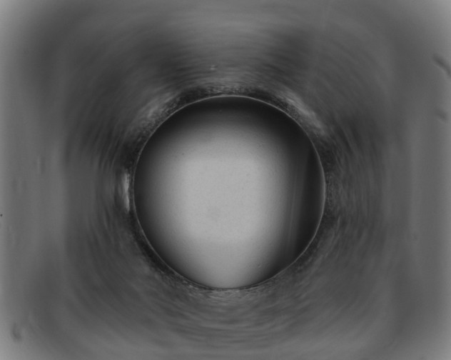 X0000091850022200709121319