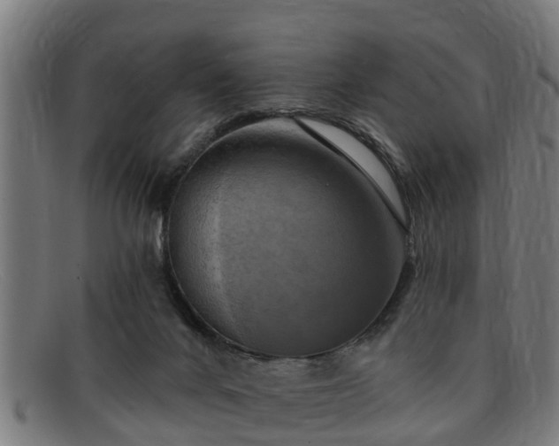 X0000091850024200709121319