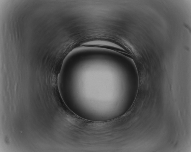 X0000091850025200709121319