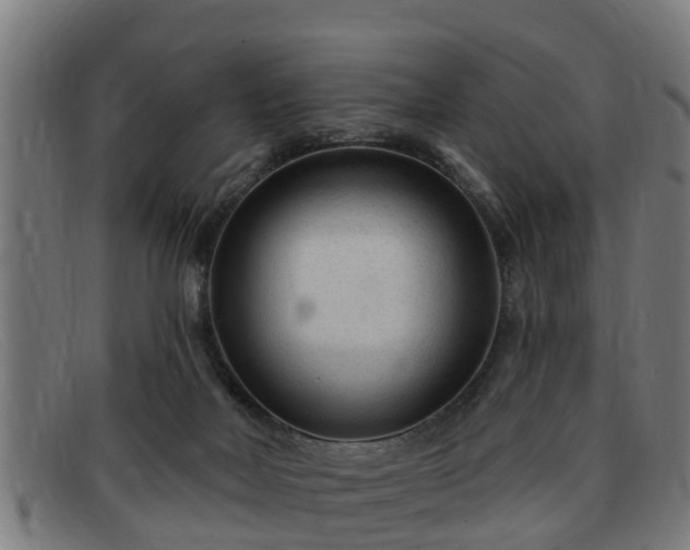 X0000091850026200709121319