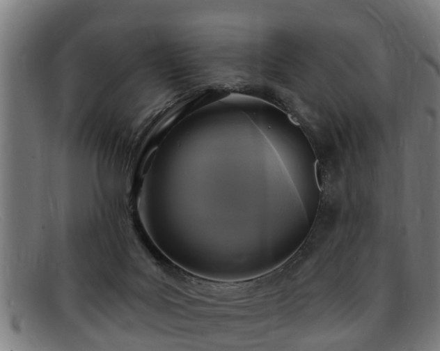 X0000091850027200709121319