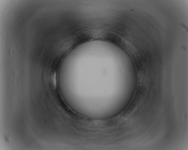 X0000091850028200709121319