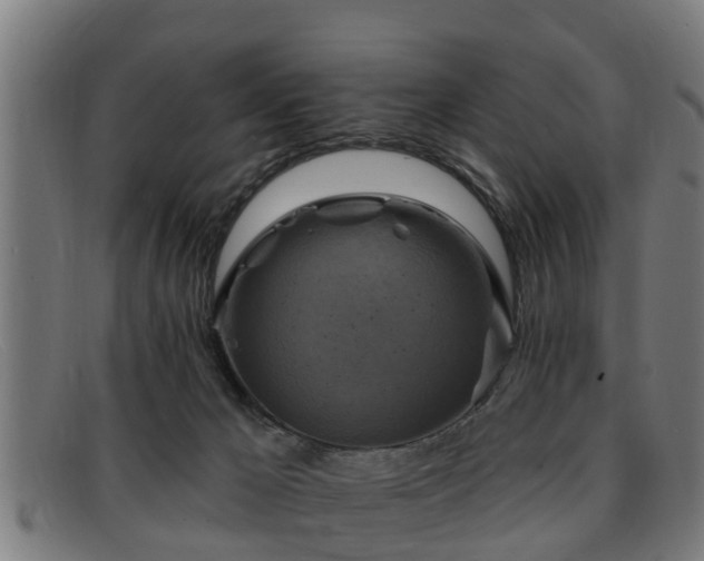X0000091850029200709121319