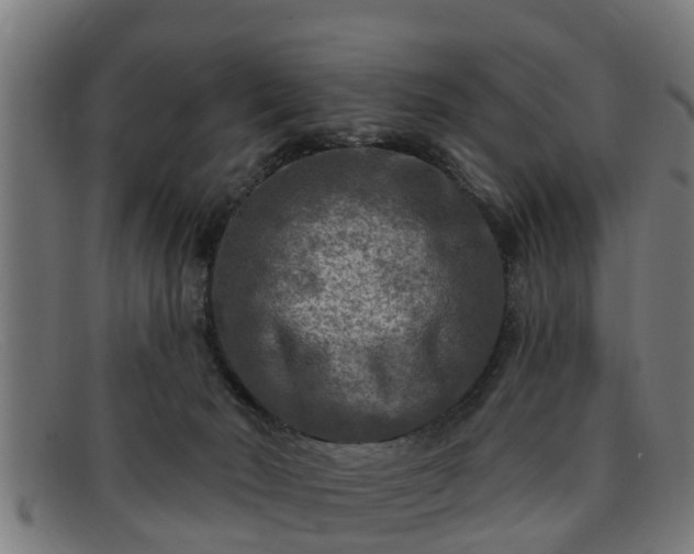 X0000091850030200709121319