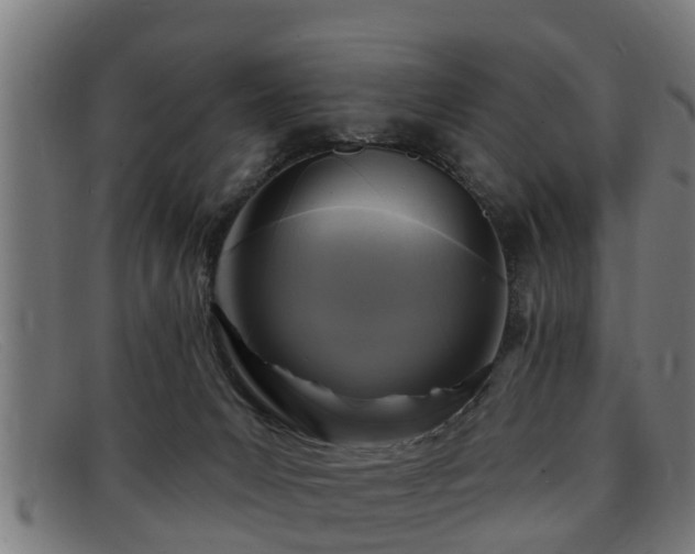 X0000091850031200709121319