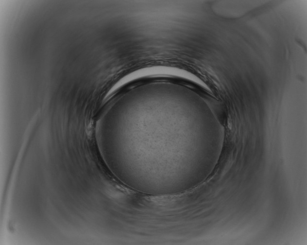 X0000091850033200709121319