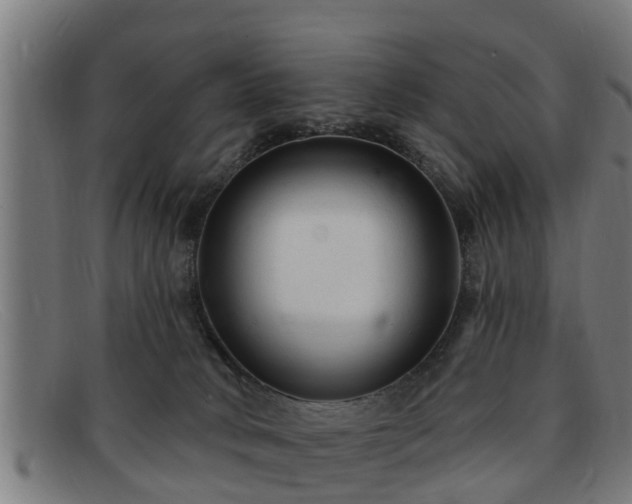 X0000091850034200709121319