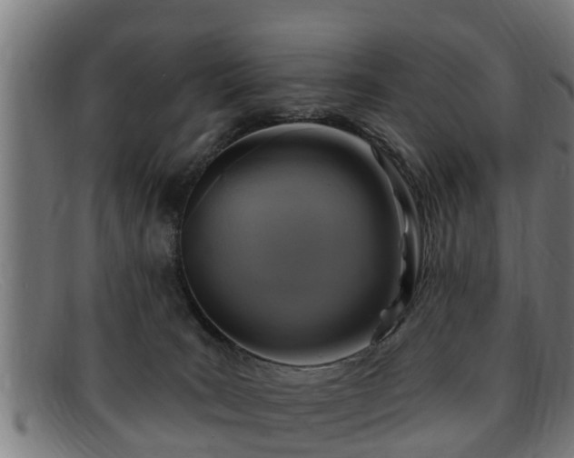X0000091850035200709121319