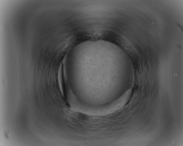 X0000091850037200709121319