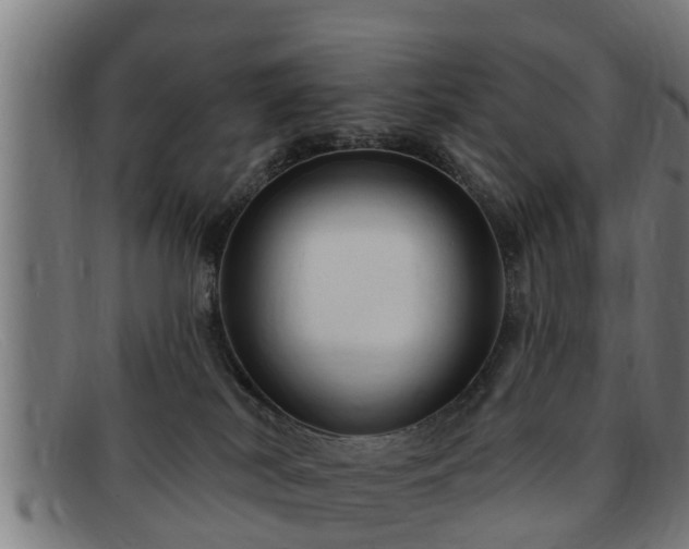 X0000091850038200709121319