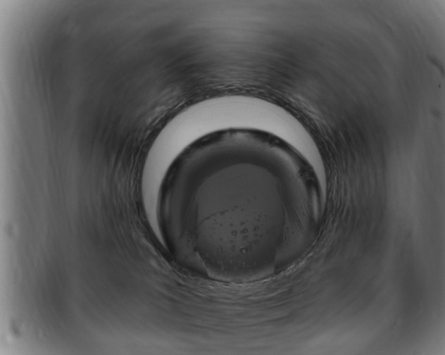 X0000091850039200709121319