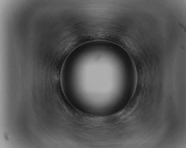 X0000091850040200709121319