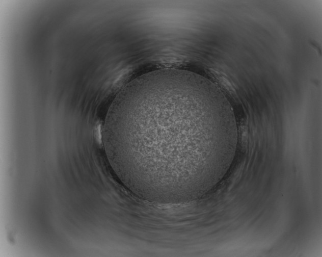 X0000091850042200709121319