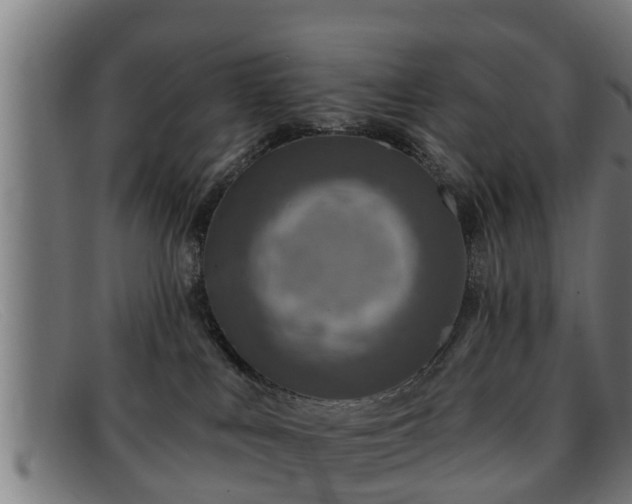 X0000091850043200709121319