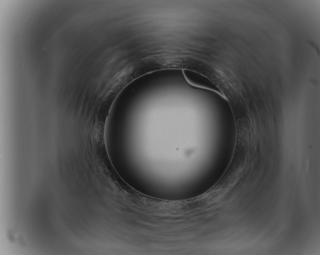 X0000091850044200709121319