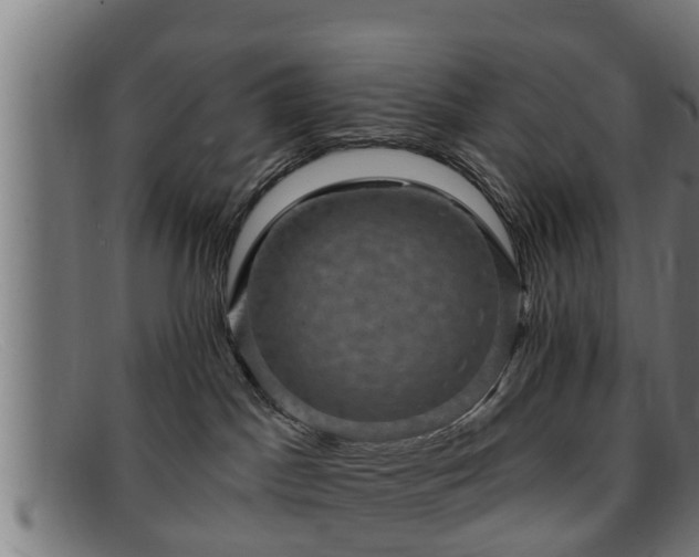 X0000091850045200709121319