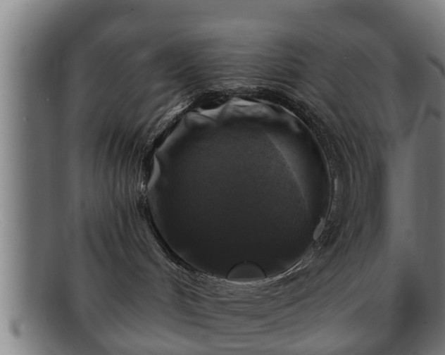 X0000091850048200709121319