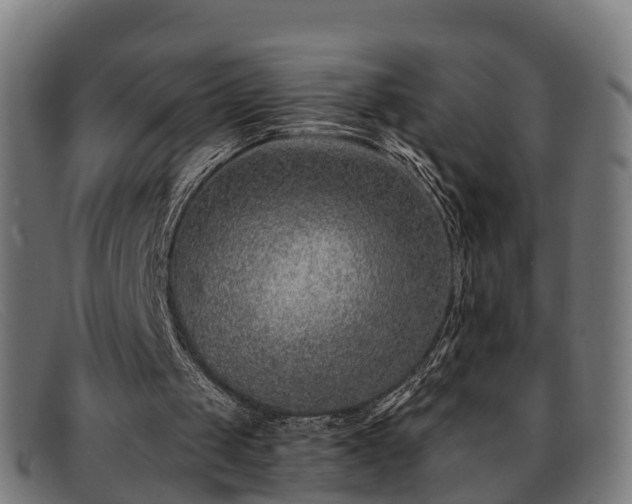 X0000091850049200709121318