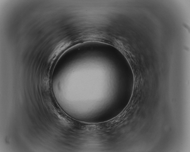 X0000091850050200709121318