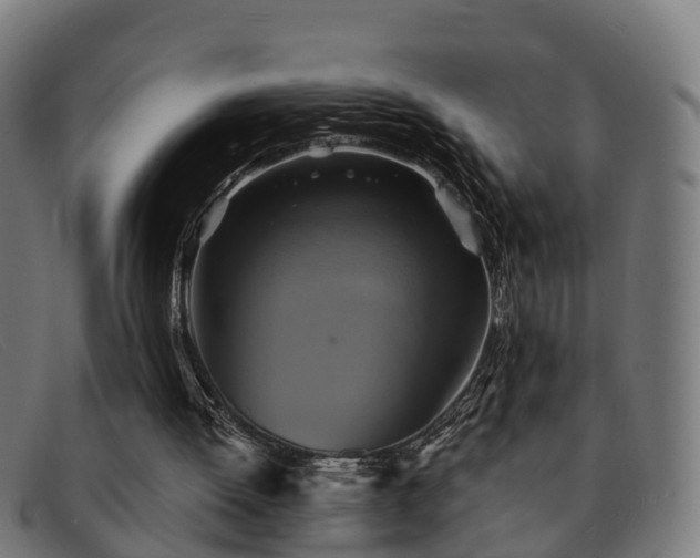 X0000091850052200709121318