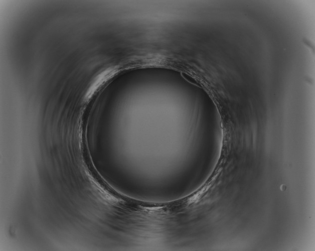X0000091850054200709121318