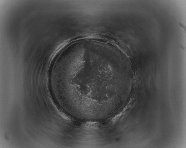 X0000091850055200709121318