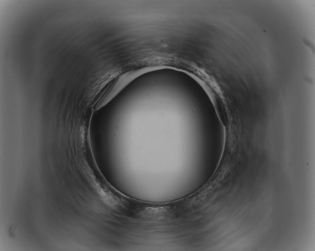 X0000091850057200709121318