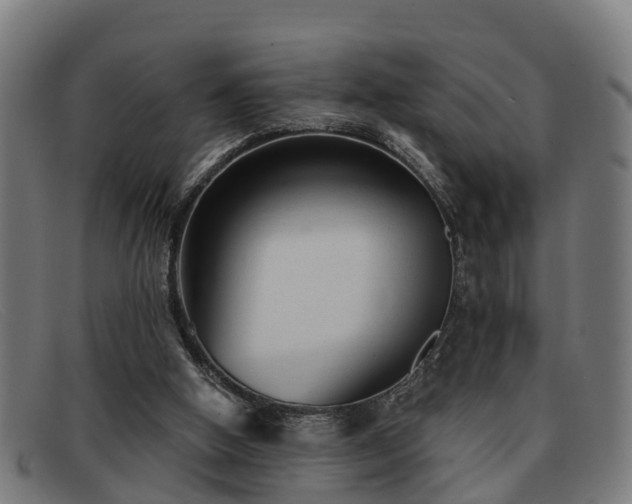 X0000091850058200709121318