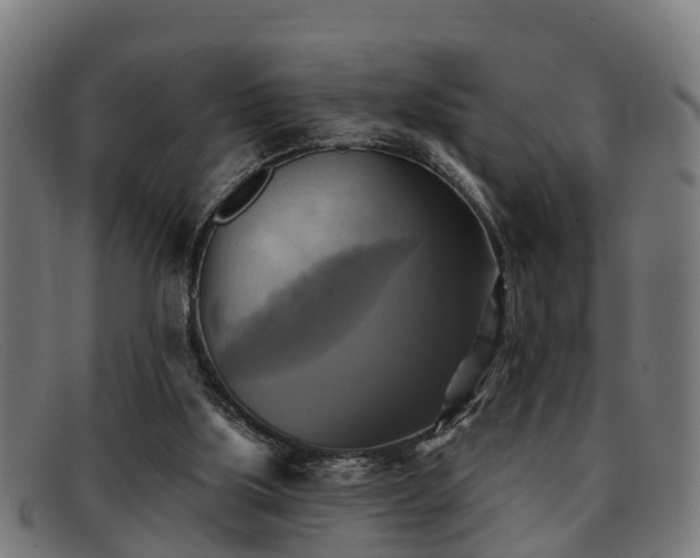 X0000091850059200709121318