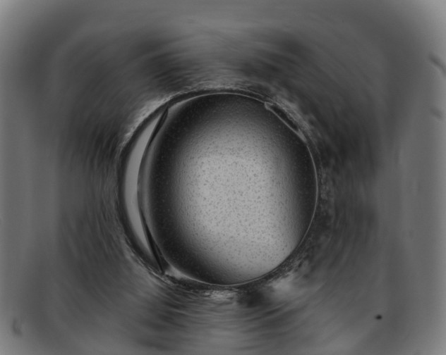 X0000091850060200709121318