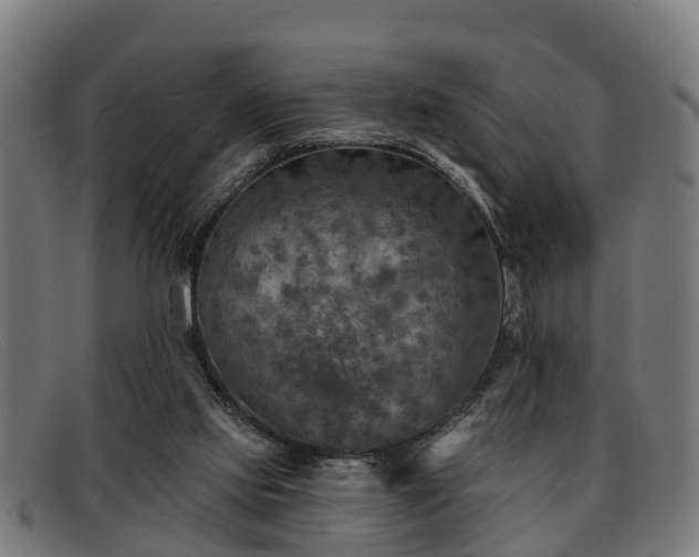 X0000091850061200709121318