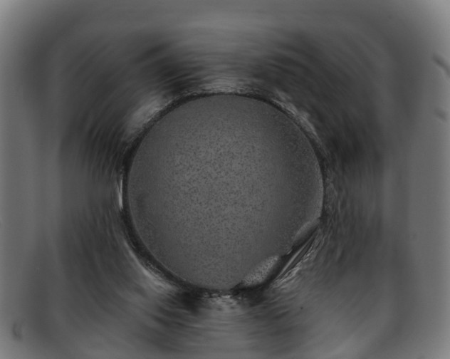 X0000091850062200709121318
