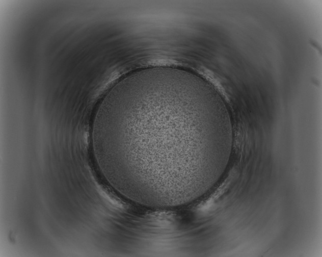 X0000091850063200709121318