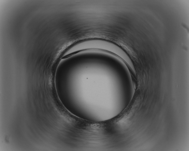 X0000091850064200709121318