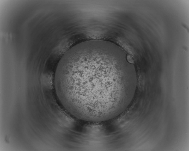 X0000091850065200709121318