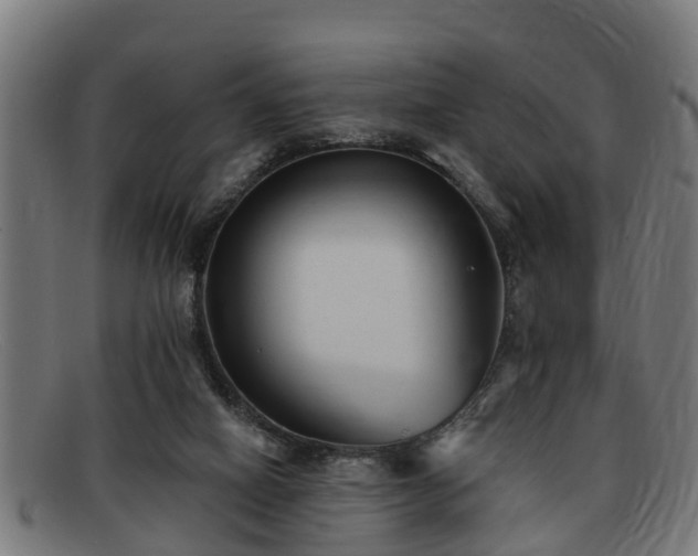 X0000091850066200709121318