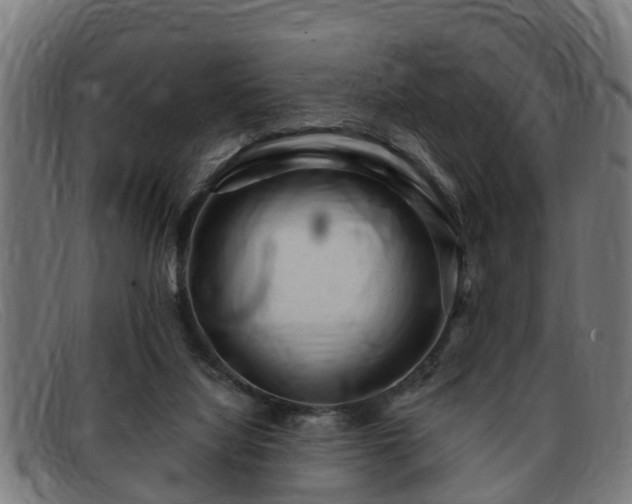 X0000091850068200709121318