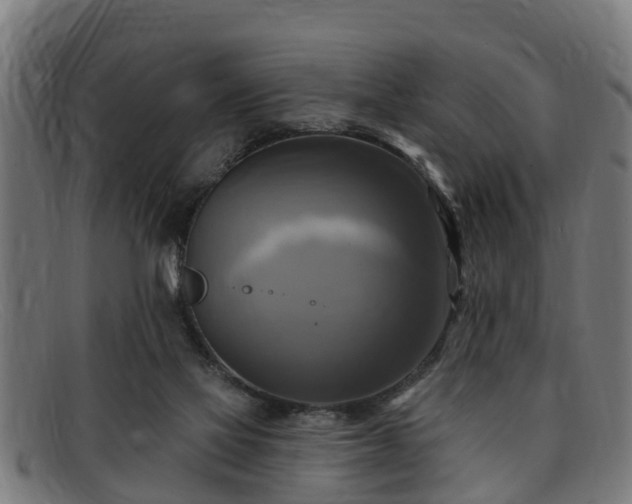 X0000091850069200709121318