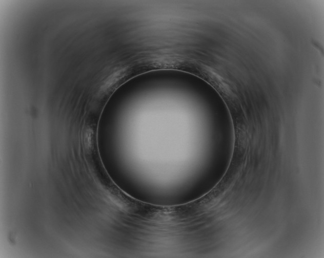 X0000091850071200709121318