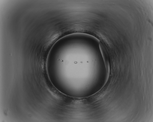X0000091850072200709121318