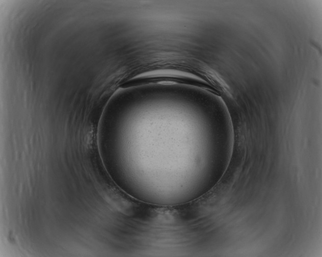 X0000091850073200709121318