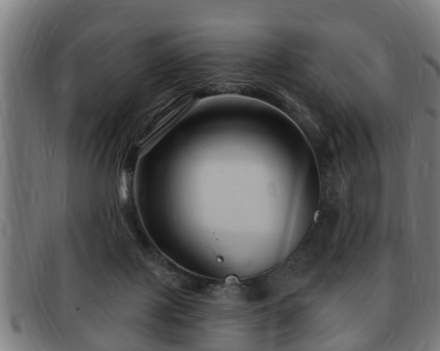 X0000091850075200709121318