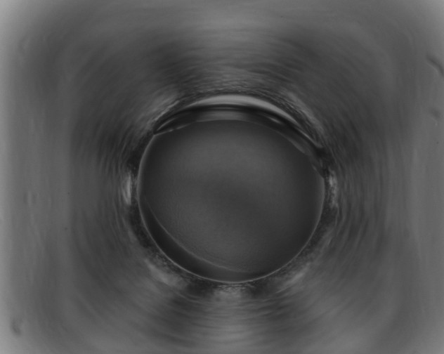 X0000091850076200709121318